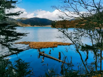 77spins Kasino Mobilná aplikácia